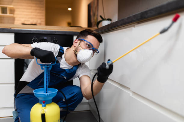 Best Pest Control Treatment  in Plymouth, MI