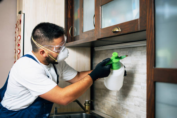 Best Termite Control Services  in Plymouth, MI