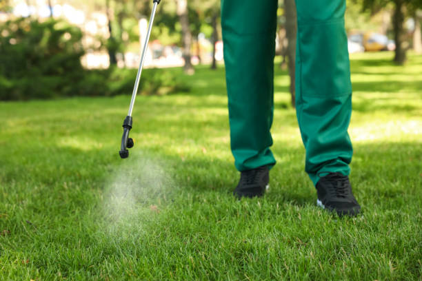 Best Residential Pest Control  in Plymouth, MI
