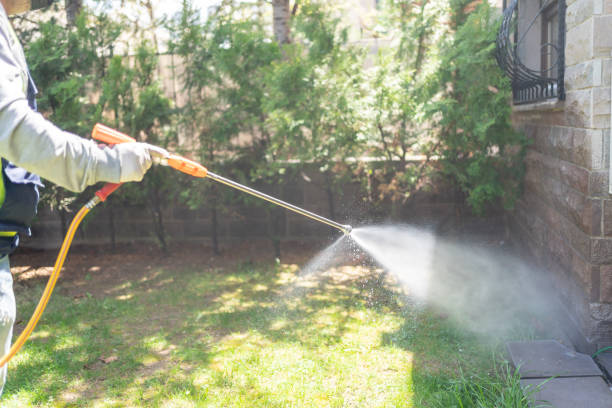 Best Best Pest Control Companies  in Plymouth, MI