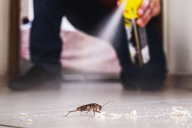 Best Cockroach Control Services  in Plymouth, MI