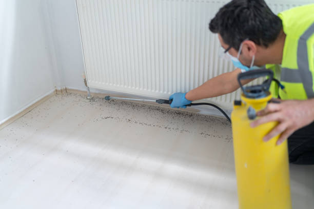 Best Affordable Pest Control Services  in Plymouth, MI