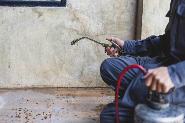 Best Pest Removal Services  in Plymouth, MI